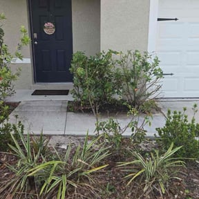 Bush Trimming by Pricision Cleaning and Lawn Services reviewed on August 18, 2025
