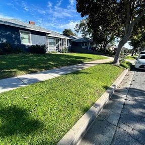 yard service by Forever Green FG LLC reviewed on August 21, 2025