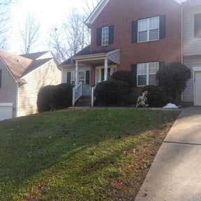 Bush Trimming by Ab Services lawncare reviewed on August 18, 2025
