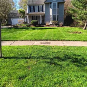lawn service by Lone Star Landscaping Group 2919 reviewed on March 20, 2024