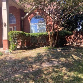 Bush Trimming by Lawn Ranger reviewed on December 4, 2025