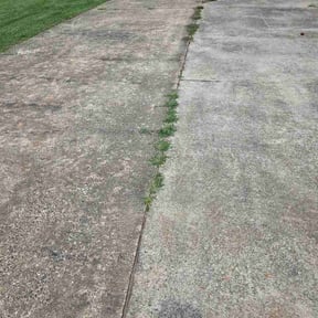 Flower Bed Weeding by Kansas pro lawn care llc reviewed on June 21, 2026