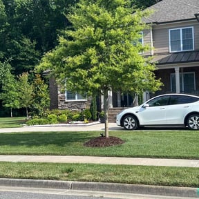 yard care by Type A Lawn Guy reviewed on January 6, 2026