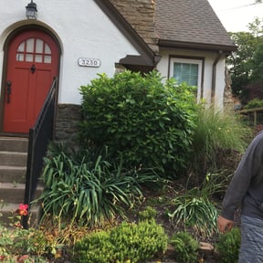 Bush Trimming by LIGHTNING LANDSCAPING &amp; LAND MANAGEMENT reviewed on August 8, 2020