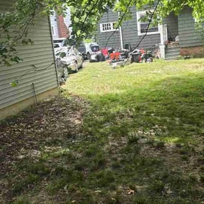 Leaf Removal by Malloy &amp; Malloy Landscaping LLC reviewed on August 22, 2026
