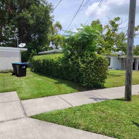 Bush Trimming by Corporate cuts lawn care reviewed on August 21, 2025