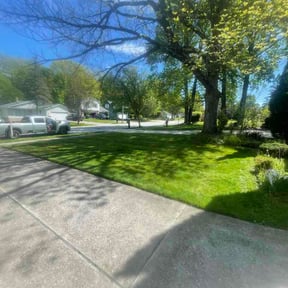 Leaf Removal by Land and Lawn Care reviewed on July 22, 2026