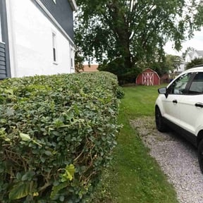 Bush Trimming by Mk top lawns reviewed on April 26, 2024