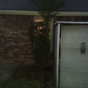 Bush Trimming by Lawn Pro reviewed on August 16, 2025
