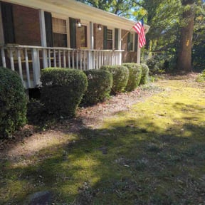 Bush Trimming by MillCreek Lawn Care reviewed on August 27, 2019