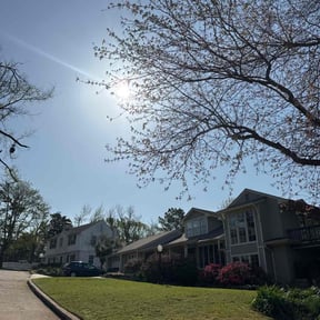 lawn care services by Niles property management reviewed on April 18, 2024
