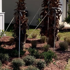 Bush Trimming by Eagle Lawn Care reviewed on August 15, 2025