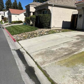 Flower Bed Weeding by Landscape reviewed on May 16, 2024