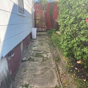Bush Trimming by martin mowing service reviewed on August 18, 2025