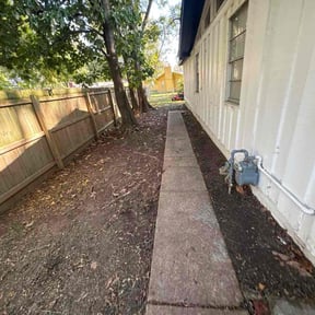 Leaf Removal by Stephen Reynolds reviewed on October 21, 2025