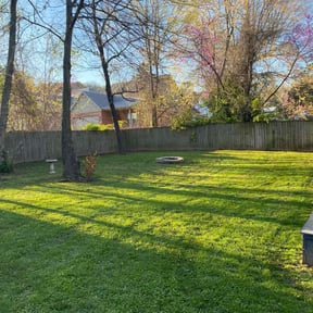 yard service by Ort'z VIP Landscaping reviewed on August 17, 2025