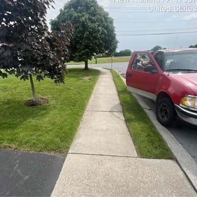 Bush Trimming by Supreme Home Services reviewed on December 13, 2024