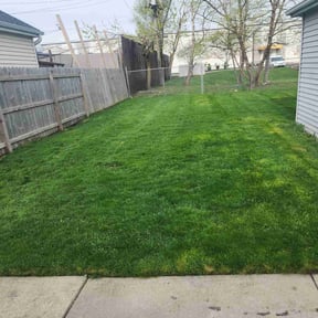 grass maintenance by Emerald Green Lawn Care LLC reviewed on August 20, 2023