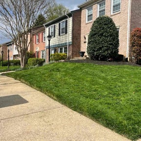 yard care by Legacy Solutiins reviewed on August 18, 2025