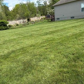 landscaping by Scott Basinger lawn care reviewed on August 16, 2025