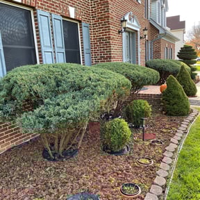 Bush Trimming by Big 3 Lawns and Landscaping reviewed on August 21, 2025