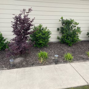 Flower Bed Weeding by Olivares Gardening reviewed on August 15, 2025