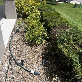 Flower Bed Weeding by Self reviewed on November 21, 2025