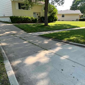 yard care by PRECISION LAWN CARE LLC reviewed on August 16, 2025