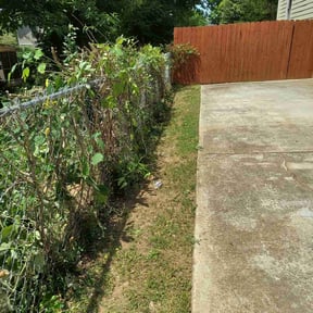 Bush Trimming by R J Lawn Care reviewed on August 16, 2025