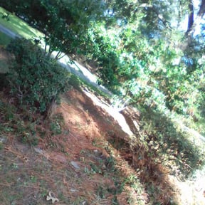 Bush Trimming by Mark Cowper Lawn and Landscape Maintenance reviewed on May 23, 2023