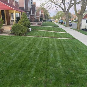 lawn maintenance by D1B PRODUCTIONS LLC reviewed on July 14, 2025