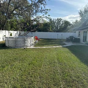 lawn service by Steve &amp; Sons reviewed on November 8, 2023