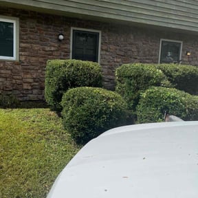 Bush Trimming by Alwaysready landscaping reviewed on August 16, 2025