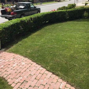 Bush Trimming by Christian Brothers Maintenance reviewed on August 18, 2025