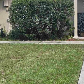 Bush Trimming by Robert Norton’s Lawn Care reviewed on May 11, 2025