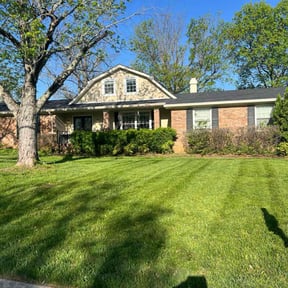 lawn care by Mr. Mower reviewed on August 18, 2025
