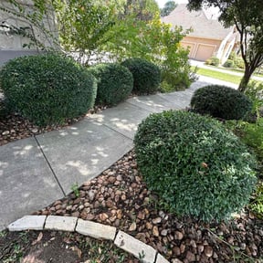 Bush Trimming by Elite Lawn Care reviewed on August 20, 2025