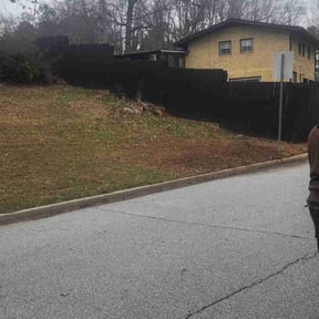 Leaf Removal by AB Flores Landscaping reviewed on February 2, 2026