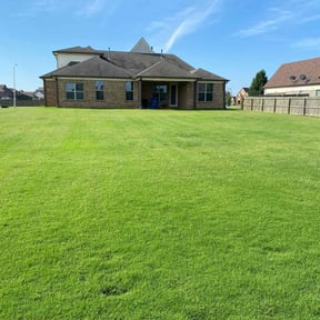 gardening service by Royal Pro Lawn Management reviewed on August 16, 2025