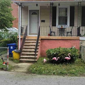 Bush Trimming by Express Innovations reviewed on August 15, 2025