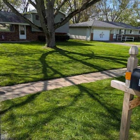 landscaping services by Cuts and Stuff reviewed on January 6, 2026