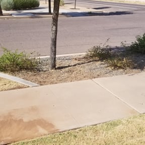 Flower Bed Weeding by Cuellar Lawn Services reviewed on August 18, 2025