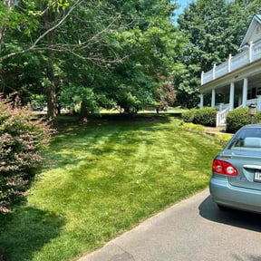 yard work by David Peters reviewed on August 18, 2025