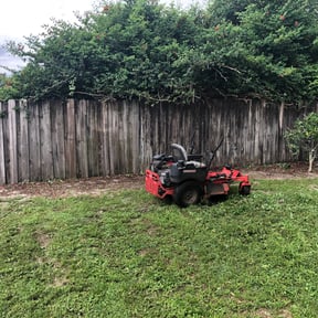 Bush Trimming by Saints lawn care reviewed on August 17, 2025