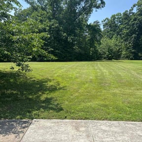 yard maintenance by Nice guys lawn service reviewed on August 17, 2025