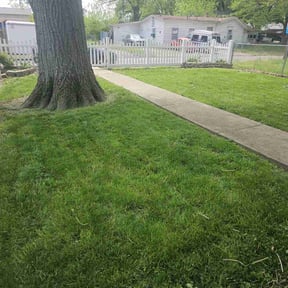 gardening service by Earth Cutz Lawn Services reviewed on August 17, 2025