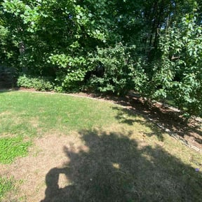 Flower Bed Weeding by D&G landscaping reviewed on August 15, 2025