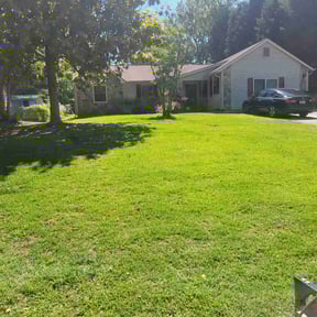 landscape maintenance by The Mow & Blow Company reviewed on August 19, 2025