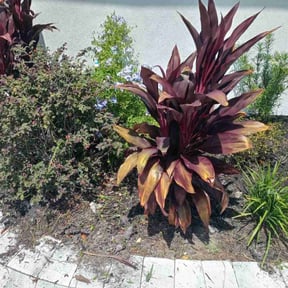 Flower Bed Weeding by Prestige Lawn Solutions LLC reviewed on October 22, 2025