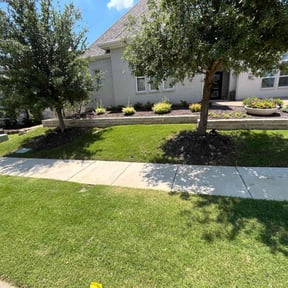 yard care by Sustain Tec, LLC reviewed on August 17, 2025